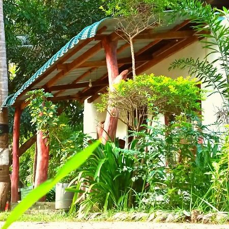 Sigiri Picaso Home Stay Sigiriya Exterior foto