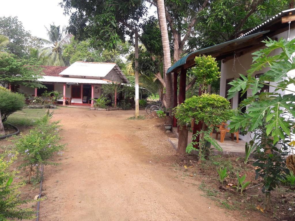 Sigiri Picaso Home Stay Sigiriya Exterior foto