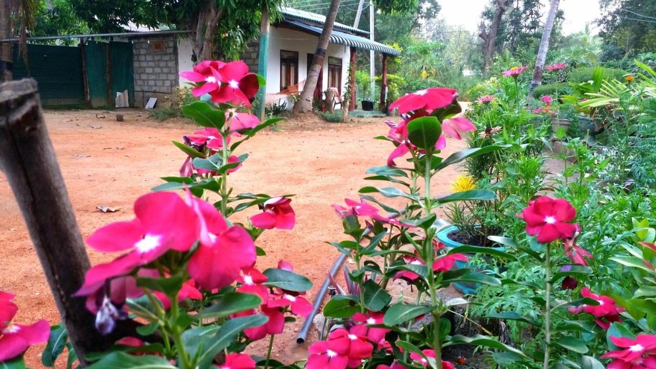 Sigiri Picaso Home Stay Sigiriya Exterior foto